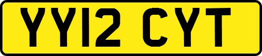 YY12CYT
