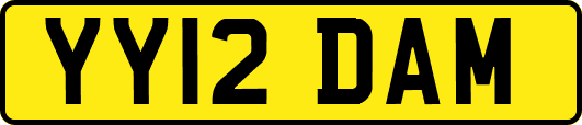 YY12DAM