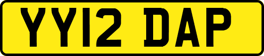 YY12DAP