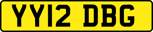 YY12DBG