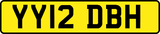 YY12DBH