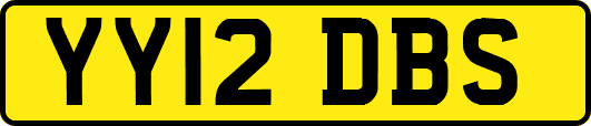 YY12DBS
