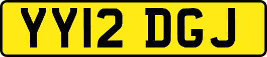 YY12DGJ