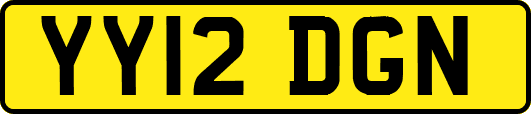 YY12DGN