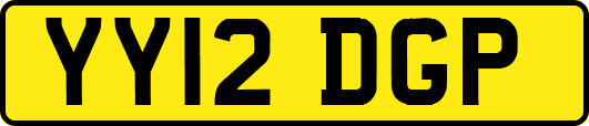 YY12DGP