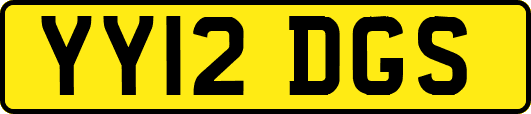 YY12DGS