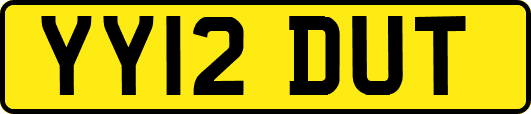 YY12DUT