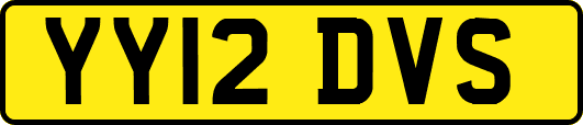YY12DVS