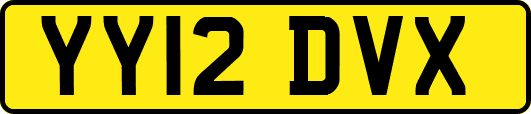 YY12DVX