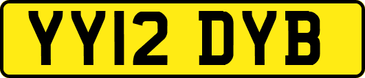 YY12DYB
