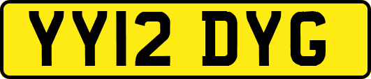 YY12DYG