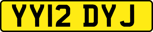 YY12DYJ