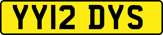YY12DYS