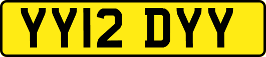 YY12DYY