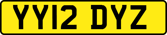 YY12DYZ