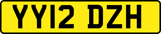 YY12DZH