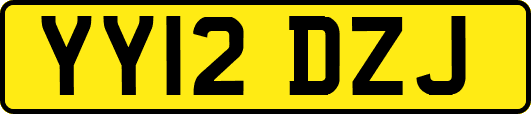 YY12DZJ