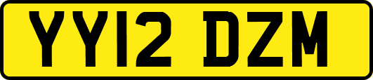 YY12DZM
