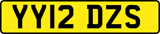 YY12DZS