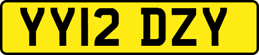 YY12DZY