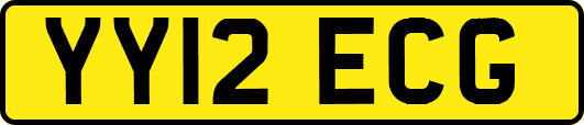 YY12ECG