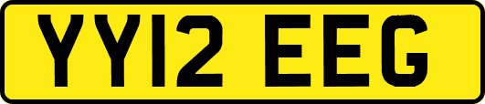 YY12EEG