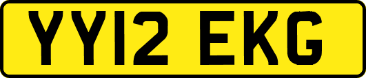 YY12EKG