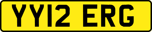 YY12ERG