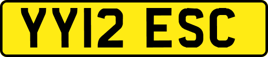 YY12ESC