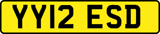 YY12ESD