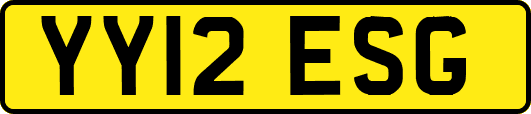 YY12ESG