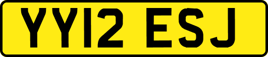 YY12ESJ