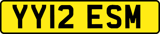 YY12ESM