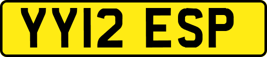 YY12ESP