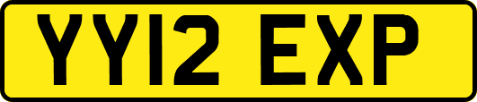 YY12EXP