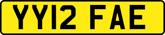 YY12FAE
