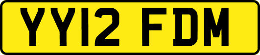 YY12FDM