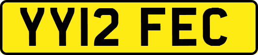 YY12FEC