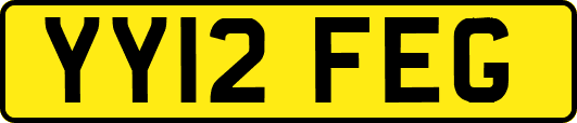 YY12FEG