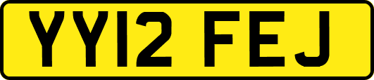 YY12FEJ