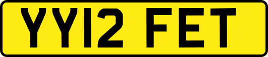 YY12FET
