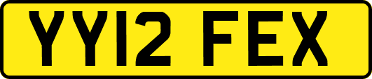 YY12FEX