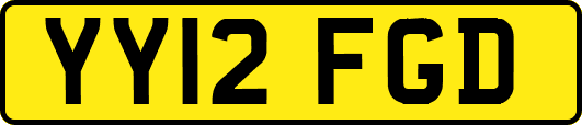 YY12FGD
