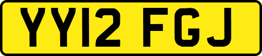 YY12FGJ