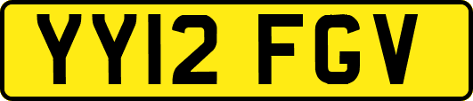 YY12FGV