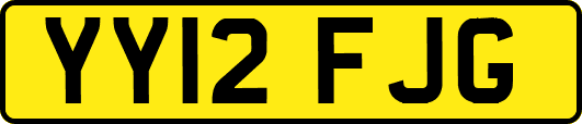 YY12FJG