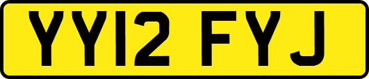 YY12FYJ