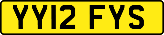 YY12FYS