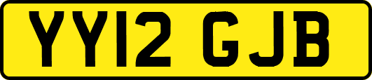 YY12GJB