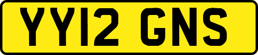 YY12GNS